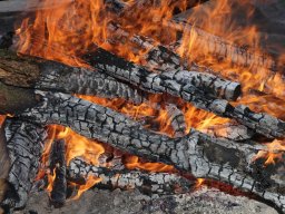 2020-lakefleischessen-14